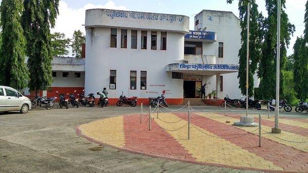 Government Veterinary Hospital