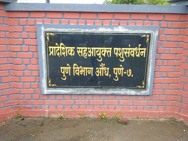 Government Veterinary Hospital