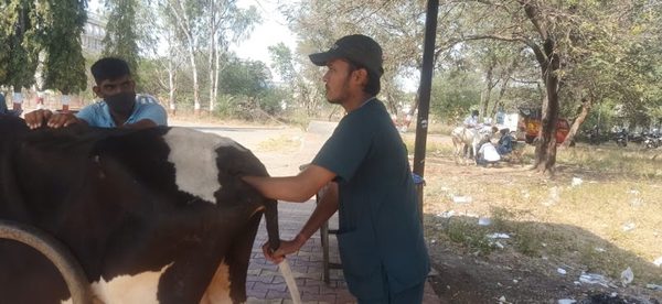 Government Veterinary Hospital