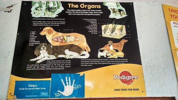 Government Veterinary Hospital