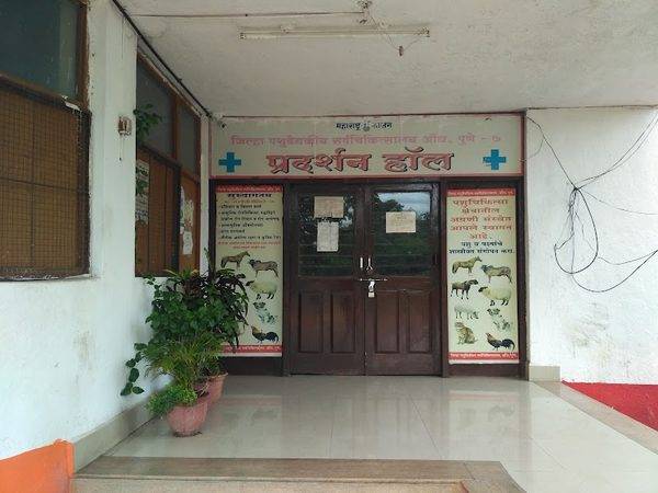 Government Veterinary Hospital